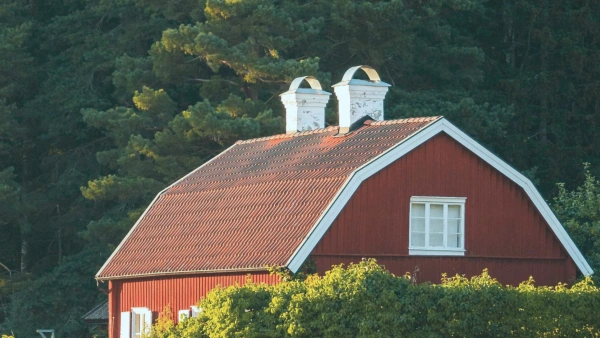 Ett rött trähus med vita knutar framför en skog.